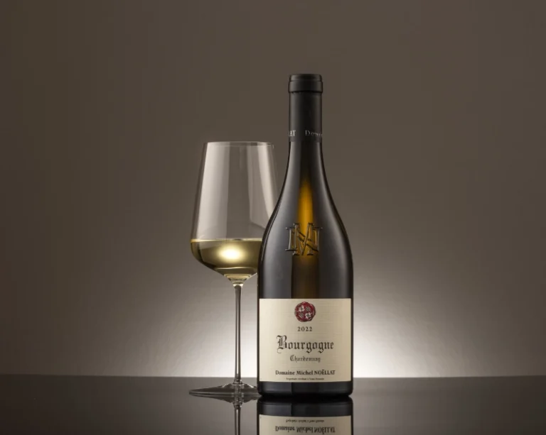 Bourgogne Chardonnay, Domaine Michel Noëllat